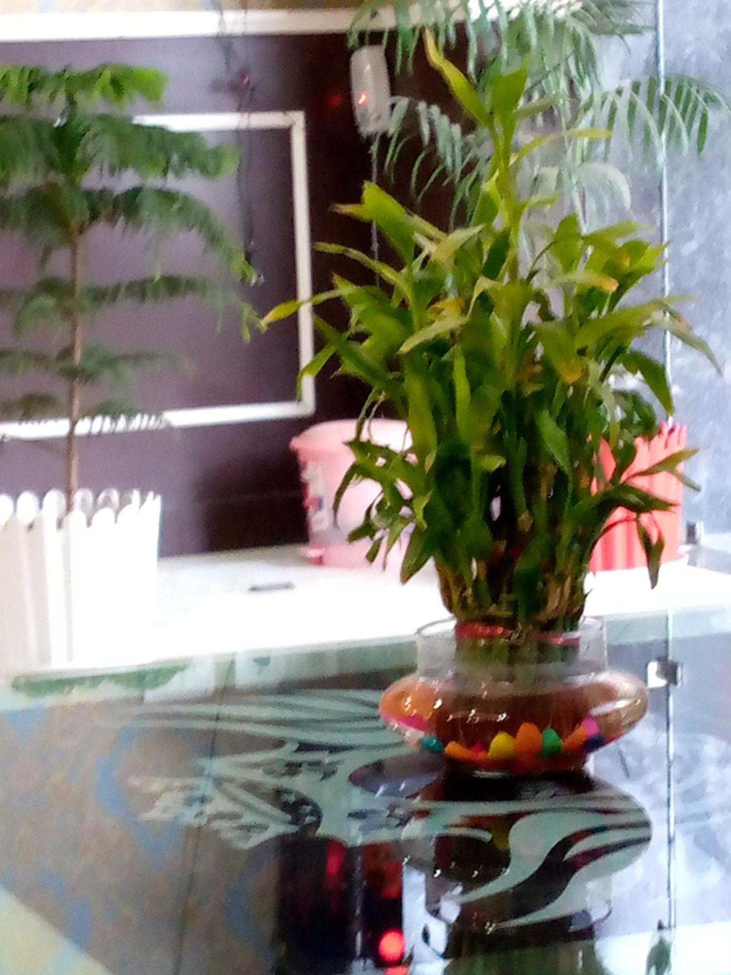 Decent Suites Inn- Mahipalpur, Delhi Airport, Aerocity Couette-café